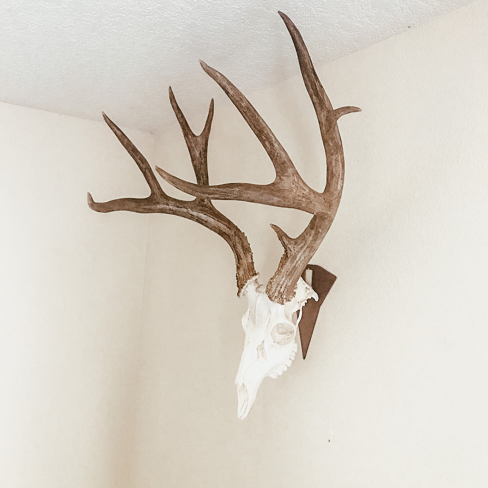 Deer Euro Hanger